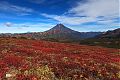 Краски осенней тундры с видом на Вилючинский вулкан
